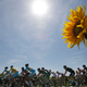 Image for article titled This Year, Everyone At The Tour De France Is Crashing Out
